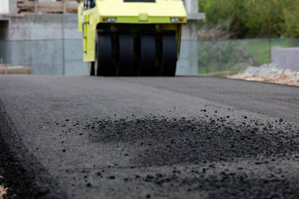 Best Local Driveway Pavers  in Baraga, MI